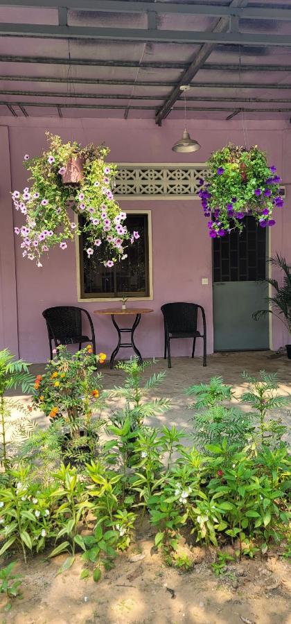 The Purple House Apartment Siem Reap Phòng bức ảnh